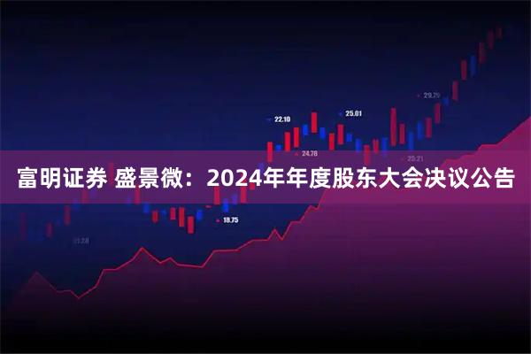富明证券 盛景微：2024年年度股东大会决议公告