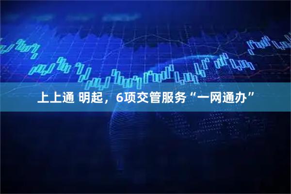 上上通 明起,6项交管服务“一网通办”