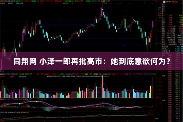 同翔网 小泽一郎再批高市：她到底意欲何为？