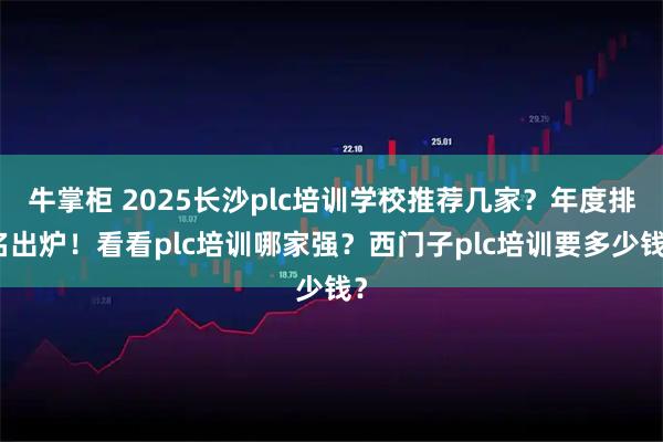牛掌柜 2025长沙plc培训学校推荐几家？年度排名出炉！看看plc培训哪家强？西门子plc培训要多少钱？